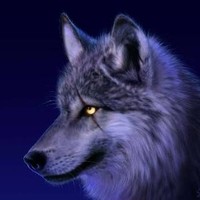 Wa Il