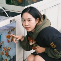 JIA Z