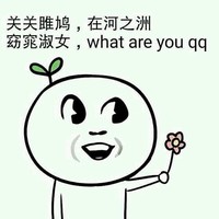 苏成龙