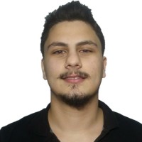 Erdem E.