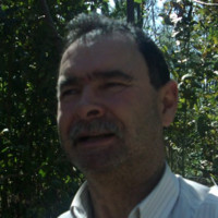 Mario Rocha
