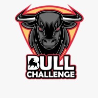 Bull Challenge