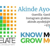 Akinde Ayodeji II