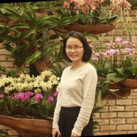 Le Thanh