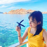 Dung Vu Thuy