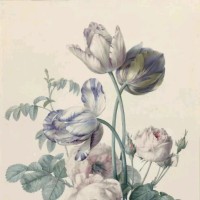 陈婷君