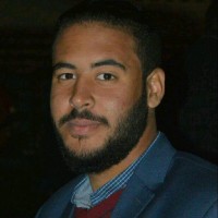 Tarek Abdelsameaa Ateto
