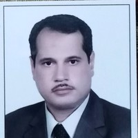amgad kamel
