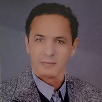 lotfi hamada