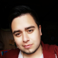 Nicolas Veliz Castillo