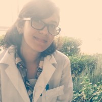 Suzan Dagher