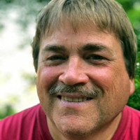 David Arbour