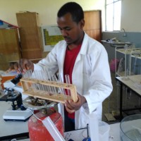 Ahmed Hassen