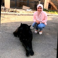 Aya Mostafa