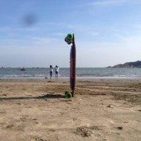 刘喜林