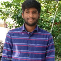 Siva Reddy Potlapati