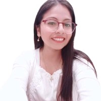 Luz Maria Meza Castillón