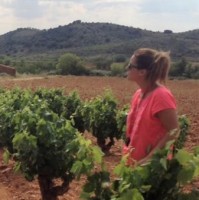 ATRIA del VIÑEDO Bodegas San Valero