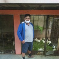 Anil Choudhary