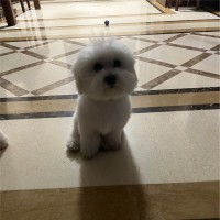 付博文