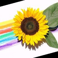 Diy And Crafts