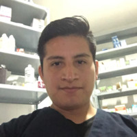 Wilder Ramirez Estrada