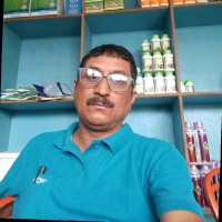 Krishna Pad Mandal