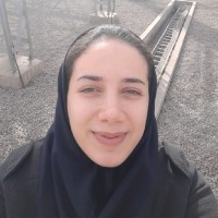 fereshte hosseini