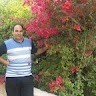 Reza Aminizadeh