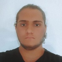 Luiz Felipe Leite Dos Santos