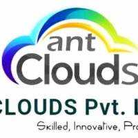 ANT CLOUDS