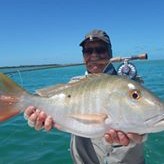 Julian Shaw