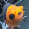 T B