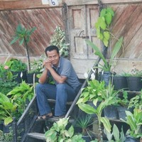 muh hanafi