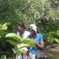 Janice E Juelma Gemeas