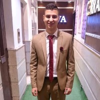 Hesham Elamamy