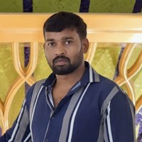 Naveen Hari Singarayar
