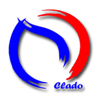 CLADO SOLUTIONS