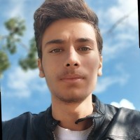 Sayed Ali Alsayed Ali
