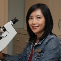 Stephanie Seto