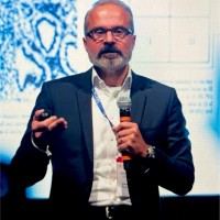 Human M. Fatemi,Md,Phd