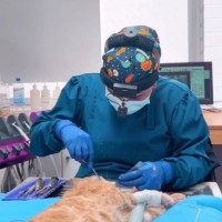 Gabriela Pérez Britto