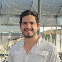 José André Woc