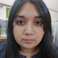 Mónica Marisol Collio Catrileo