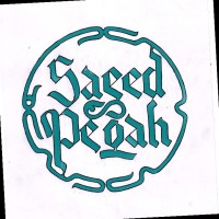 Saeed Pegah