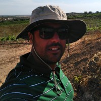 Luis Pombeiro