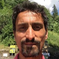 Massimiliano Del Viva