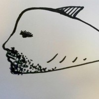 ermete pescatore