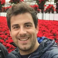 Michelangelo Auricchio