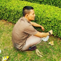 Seribu Dinar